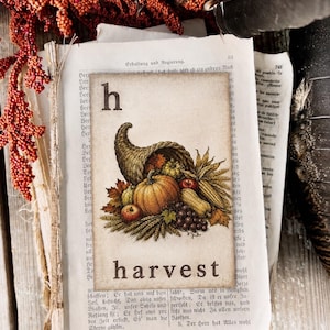 May include: A rectangular card featuring the letter h at the top and the word harvest at the bottom. The center displays a colorful illustration of a cornucopia overflowing with pumpkins, corn, grapes, apples, and autumn leaves on a cream background.