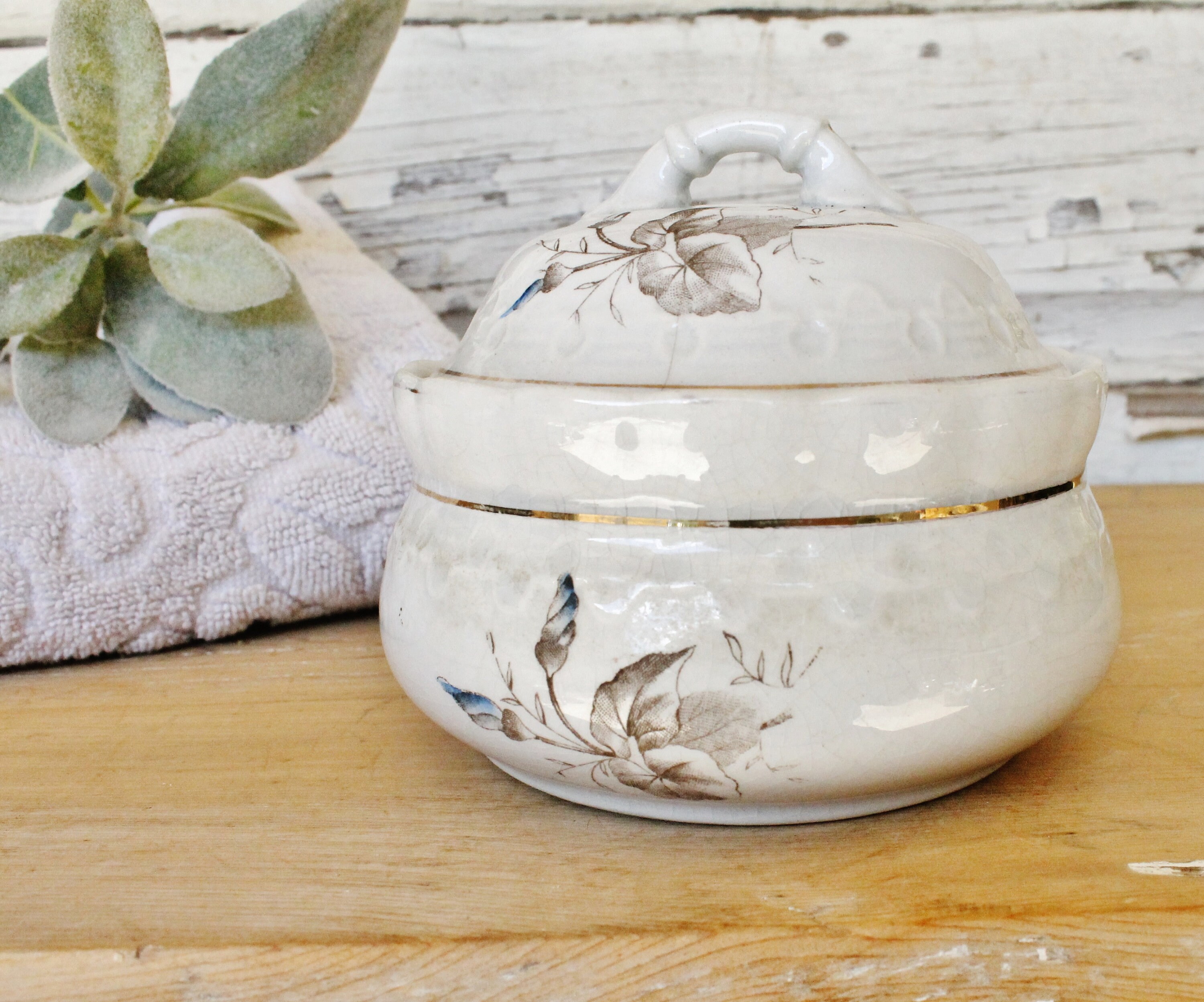 Antique White Ironstone Soap Dish Bowl with Lid French Farmhouse Decor Fixer Upper