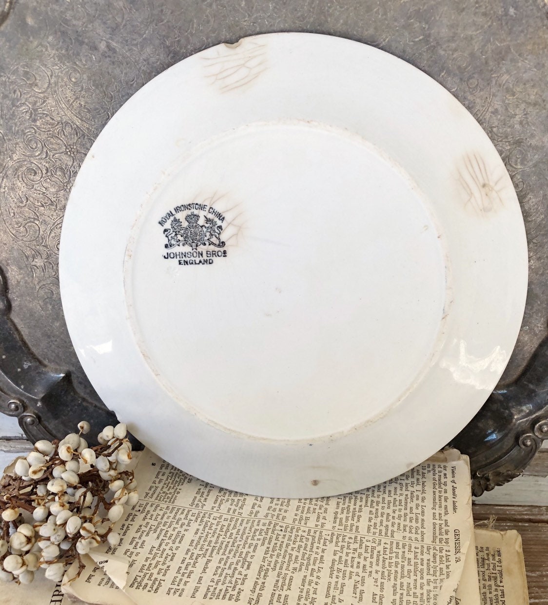 Antique White Ironstone Plate JOHNSON BROTHERS English Ironstone