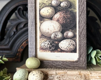 EGGS Framed Sign Post Card French Farmhouse Decor Barn Wood Easter Botanical