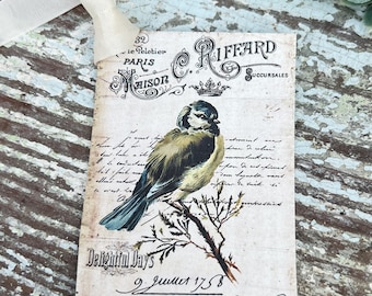 Bird Vintage Easter Gift Tags Natural History Book Page French Farmhouse Decor Card Shabby SET OF 8