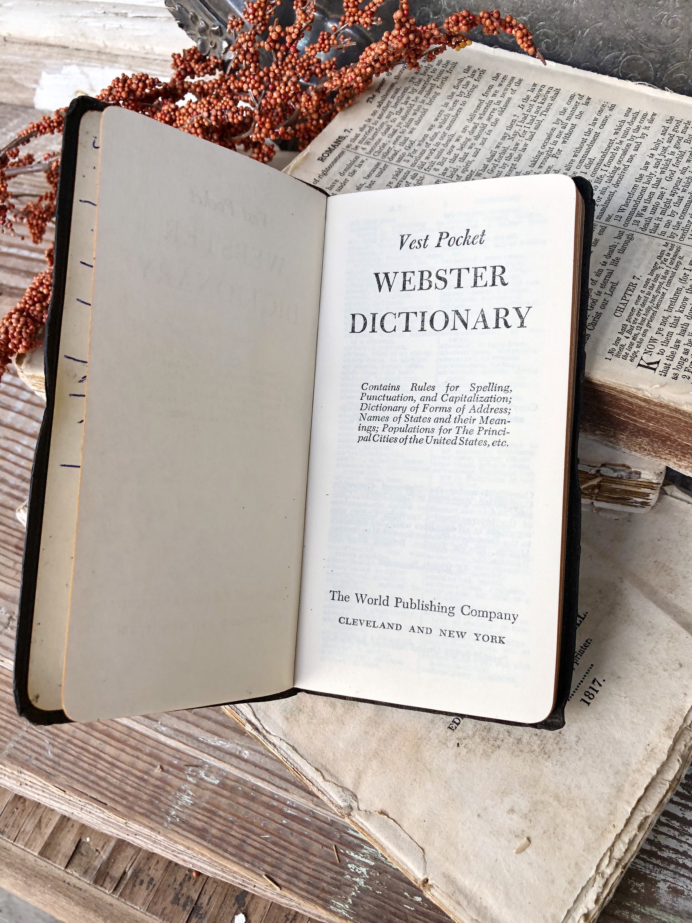 free webster dictionaries free webster dictionaries