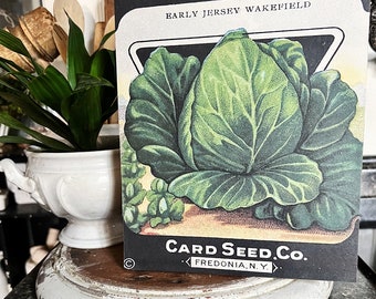 Vintage CABBAGE SEED Pack Print Sign Wood Wall Art Sign Farmhouse Decor Farm Spring Summer Fall Garden