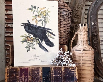 Vintage CROW on Branch Print Sign Wood Wall Art Sign Farmhouse Decor Page Print  Raven Blackbird Natural Book History Fall Decor Halloween