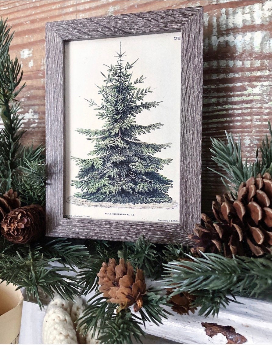 Vintage Christmas Tree Sign PINE TREE Frame Farmhouse Christmas Winter