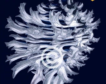 Digital CONCH Shell Costal Original Wall Art Nautical Beach Decor Original Golden Anchor Series Fine Art Print Instant Digital Download