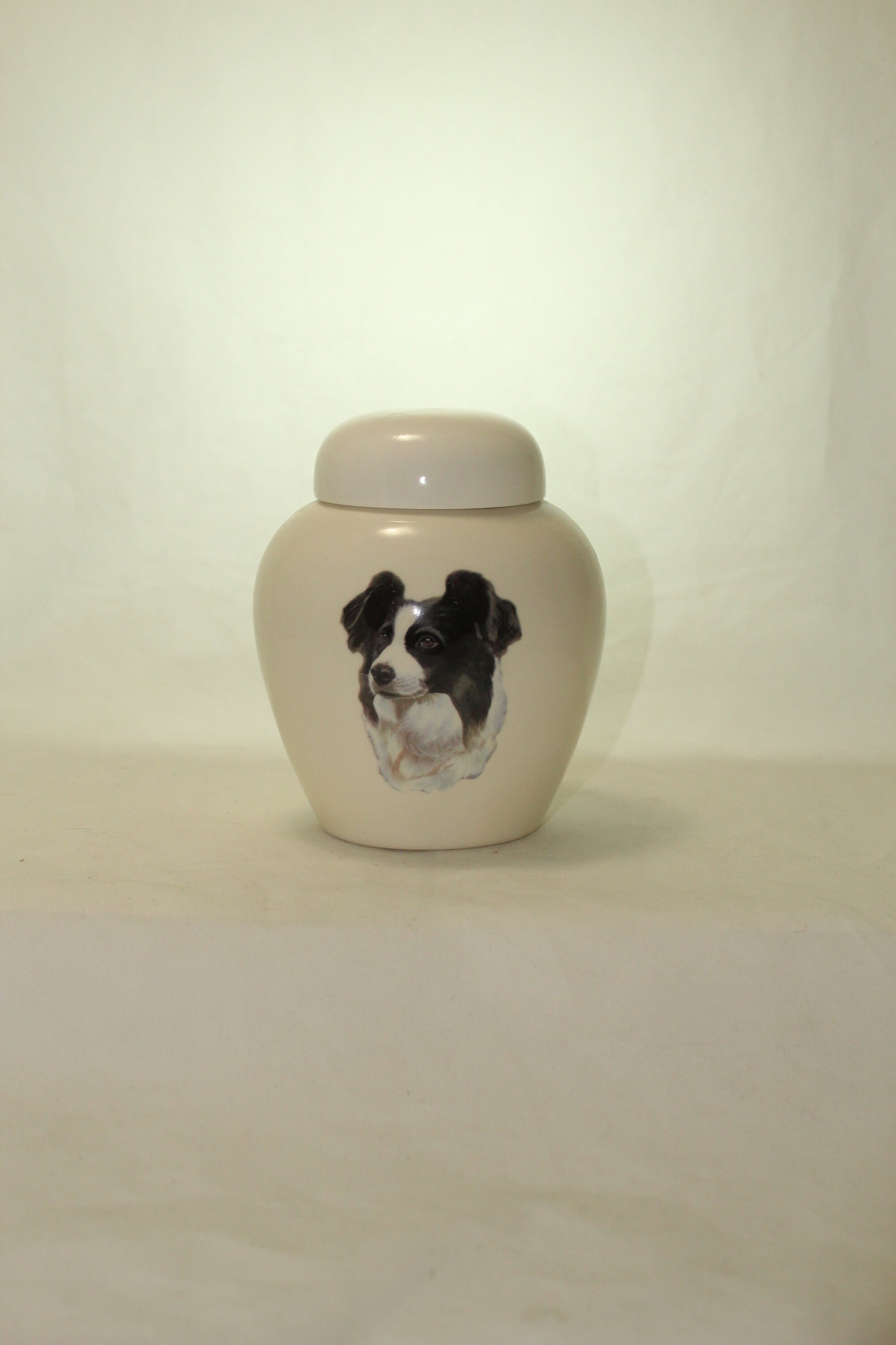 border collie urn