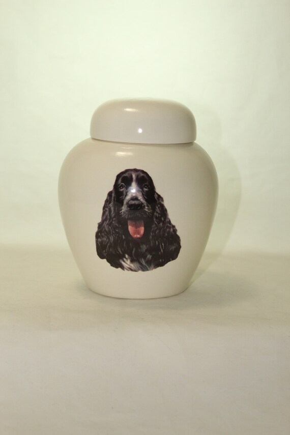 cocker spaniel ashes urn