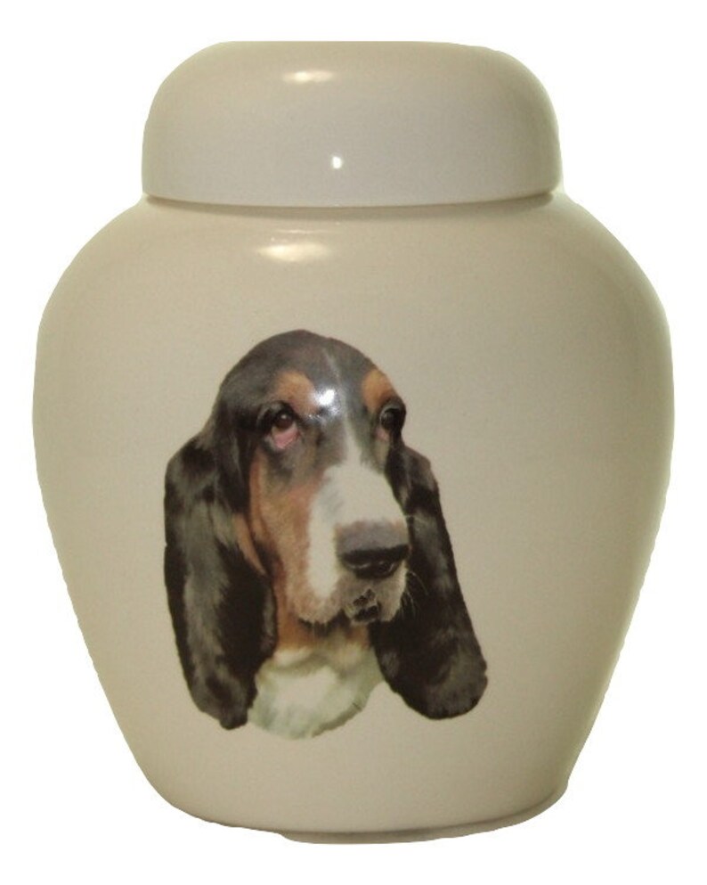 Basset Hound Cremation Urn Ceramic Jar with Lid Pet Cat or Etsy