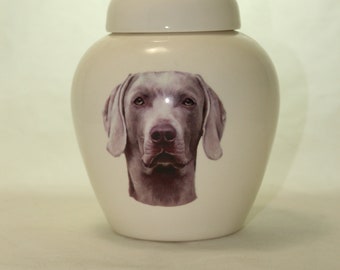 Handmade Weimaraner Cremation Urn, Ceramic Pet Keepsake Jar