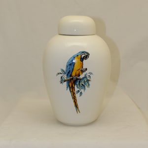 May include: White ceramic urn with a blue and yellow macaw perched on a branch. The bird is facing to the left and has a detailed design.