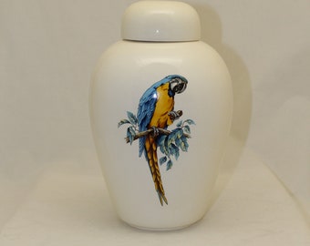 Handmade Adult Cremation Urn: Parrot Art Pottery Jar
