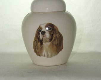 Dog Urns