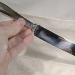 May include: A silver cake knife with a rounded handle and a long, thin blade. The blade is slightly curved and has a subtle sheen.