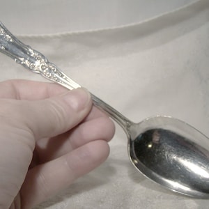 May include: A silver spoon with an ornate handle and a rounded bowl.