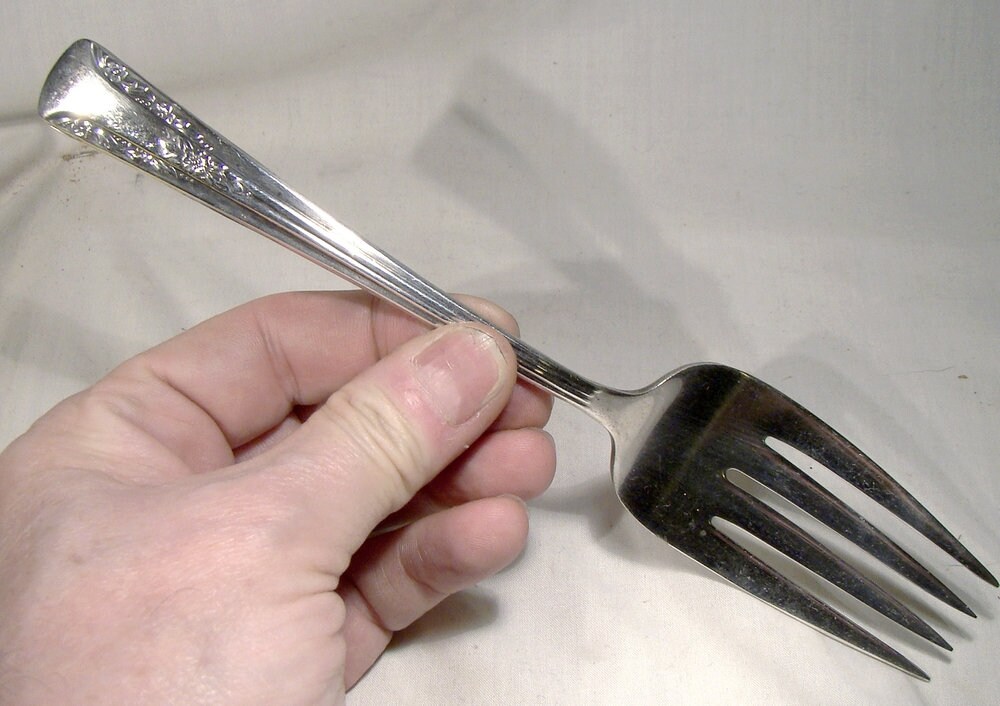 Camelia silver plate best sale spoon