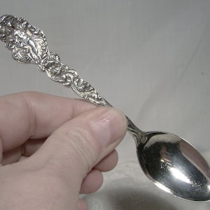 May include: A silver spoon with an ornate, floral design. The spoon has a rounded bowl and a long, slender handle.