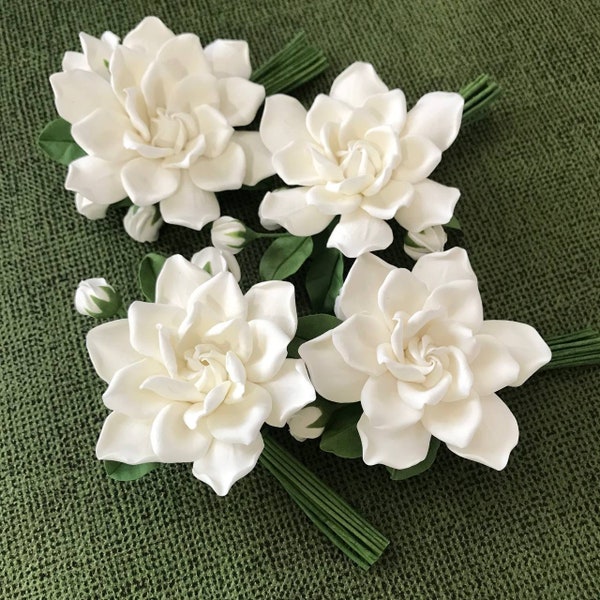 Very light ivory gardenia. Buttonhole Boutonniere for men.  Boutonniere with Very light ivory gardenia with leaves and buds.