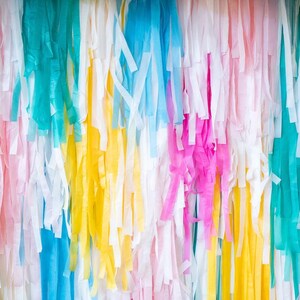Beach Ball Vibes Backdrop ETSY 2