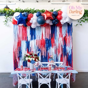 Picnic on the 4th of July Fringe Backdrop, Patriotic Party Decor, Independence Day, Fringe Backdrop, Streamer Wall, Bachelorette Decor