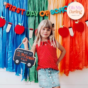 Rainbow Back To School Fringe Backdrop: Handmade Plastic Streamer Party Decor