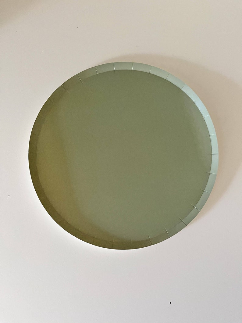 Classic Green Plate green paper plates dinosaur party plates Green Jungle Paper Plates Party Decorations