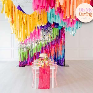 Rainbow Fringe Backdrop: Handmade Plastic Streamer Party Decor