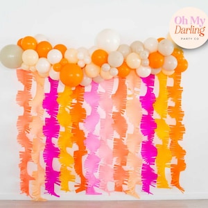 Crepe Paper Fringe Streamers, Affordable Backdrop Idea, Fiesta, Tacos, Dog Party,  Fringe Backdrop, Colorful Party Backdrops Fringe