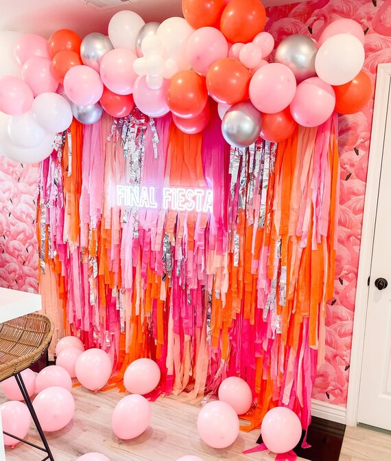 Streamer Backdrop, Fringe Backdrop, Color Birthday Party Decorations, Photo  Backdrop, Fiesta, Bachelorette Party, Pink and Orange 