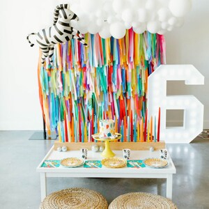 Party Animal Fringe Backdrop | Rainbow Party Decor | Colorful Party Supplies | Animal Theme Birthday |Fringe Backdrop | Streamer WallFringe