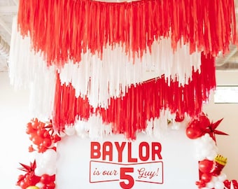 Disco Ceiling Aerials: Custom Fringe Party Decor, Fringe Banner, Tassel Backdrop, Party Decor
