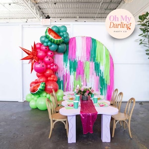 Watermelon Fringe Backdrop: Pink & Green Party Decor, Streamers for Party, Party Decor