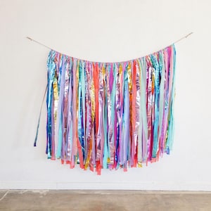 Rainbow Fringe Backdrop: Handmade Plastic Party Decor