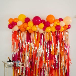 Handmade Plastic Fringe Backdrop: Groovy Party Photo Booth Decor, Fringe Party Decor, Tassels, Party Decor