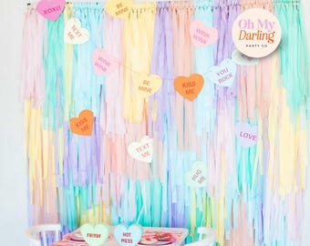 Pastel Fringe Backdrop: Handmade Plastic Party Decor, Fringe Party Decor, Tassels, Party Decor