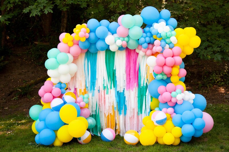 Beach Ball Vibes Backdrop ETSY 2