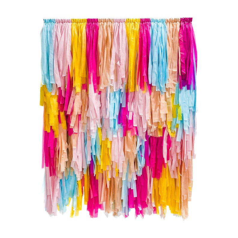 bridal shower fringe,colorful backdrop,colorful prop,final fiesta,fringes backdrop,girls party fringe,pink backdrop,pink fringes,plastic streamers,plastic tablecloth,rainbow backdrop,tablecloth fringes