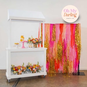 Handmade Plastic Fringe Backdrop: Pink and Orange Party Decor