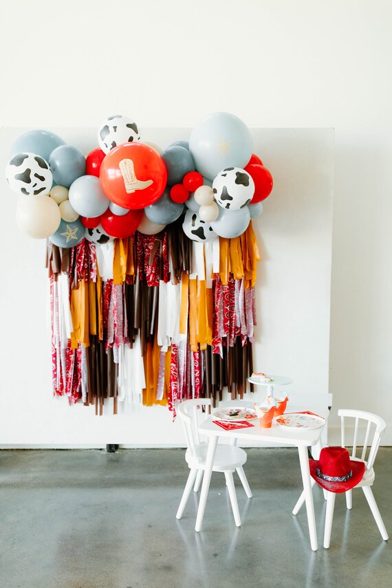Barbie Fringe Backdrop – Oh My Darling Party Co
