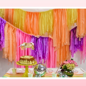 Starstruck Overhead SwagFringe Backdrop | Streamer Wall | Bachelorette DecorFringe Backdrop | Streamer Wall Party Backdrops  Fringe Garland