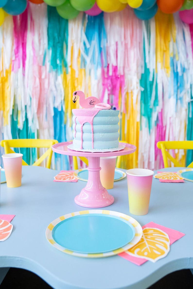 Beach Ball Vibes Backdrop ETSY 2