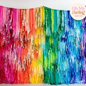 Rainbow Fringe Backdrop: Handmade Plastic Party Decor