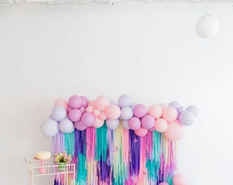 Handmade Plastic Fringe Backdrop: Birthday Party Photo Booth Decor, Fringe Backdrop, Streamers, Party Decor