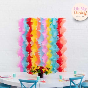 Fiesta Party Backdrop, Taco Party, Fringe Backdrop, groovy backdrop, colorful backdrop for birthday Crepe Paper Fringe Streamers, Holiday
