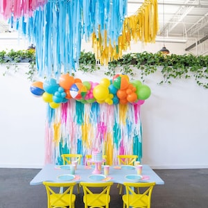 Beach Ball Vibes Backdrop ETSY 2