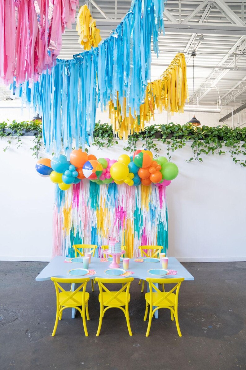 Beach Ball Vibes Backdrop ETSY 2