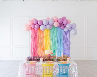 Pretty Pastel Rainbow Fringe Backdrop - Girls 1st Birthday Party Decor, Photo Booth Wall Hanging
