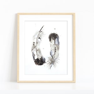 Black and White Feathers