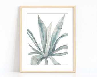 Agave II