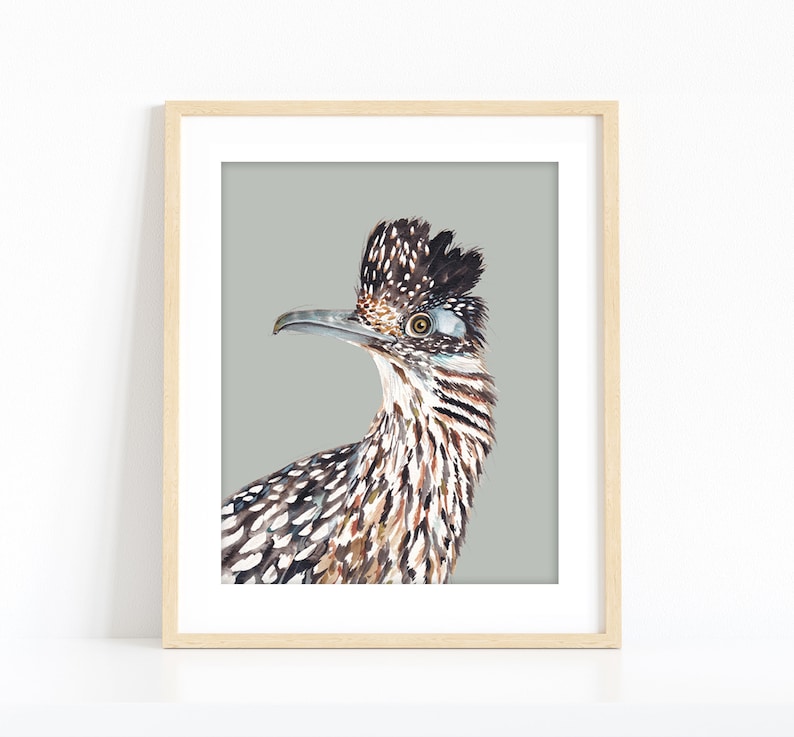 Pu&ograve; includere: Un dipinto ad acquerello di un roadrunner con uno sfondo grigio. L'uccello ha un becco lungo e appuntito, una testa crestata e piume macchiate di marrone e bianco.